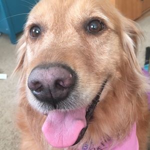 Bundle for Baby Jack